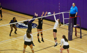 Emerson's women's volleyball team fell one win short of the postseason.
OJASVANI DAHIYA / BEACON CORRESPONDENT