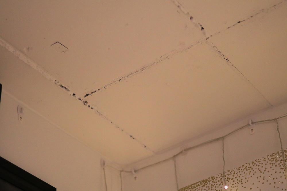 Students+are+complaining+about+cracks+in+the+ceiling+in+the+new+2+Boylston+Place+residence+hall.%0ALALA+THADDEUS+%2F+BEACON+STAFF