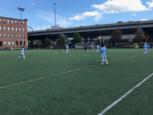 Lions cap off senior day with NEWMAC win