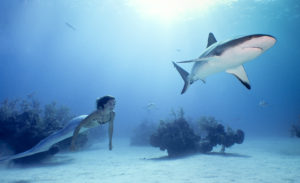 Linden Wolbert '03 created the Youtube channel Mermaid Minute to educate viewers on the ocean. Photo courtesy of Linden Wolbert.