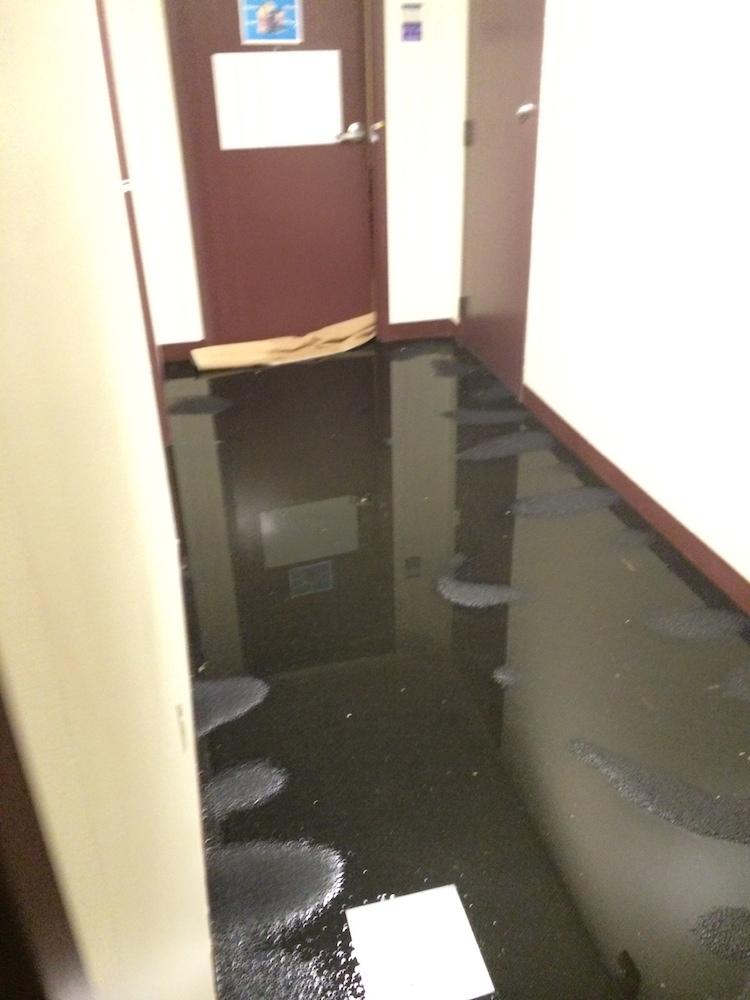 Flooding+from+sprinkler+damages+rooms%2C+displaces+residents