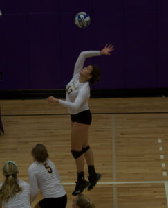 Guerra adds points and personality in first season