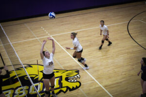 Freshman setter controlling offense early in career