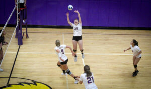 Volleyball players claim NEWMAC honors