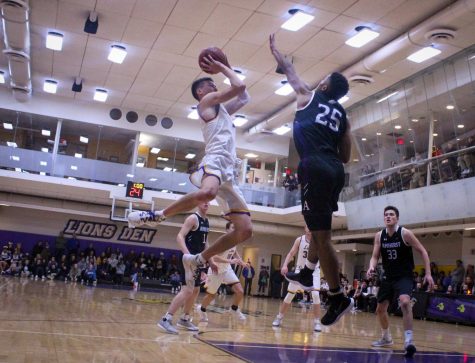 Lions fall to nationally ranked Amherst