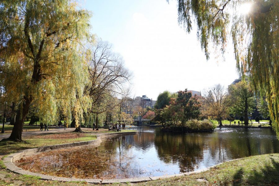 The Boston Public Garden.