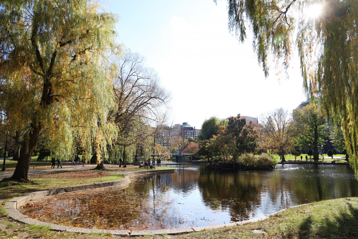 Police arrest suspect in Public Garden assault