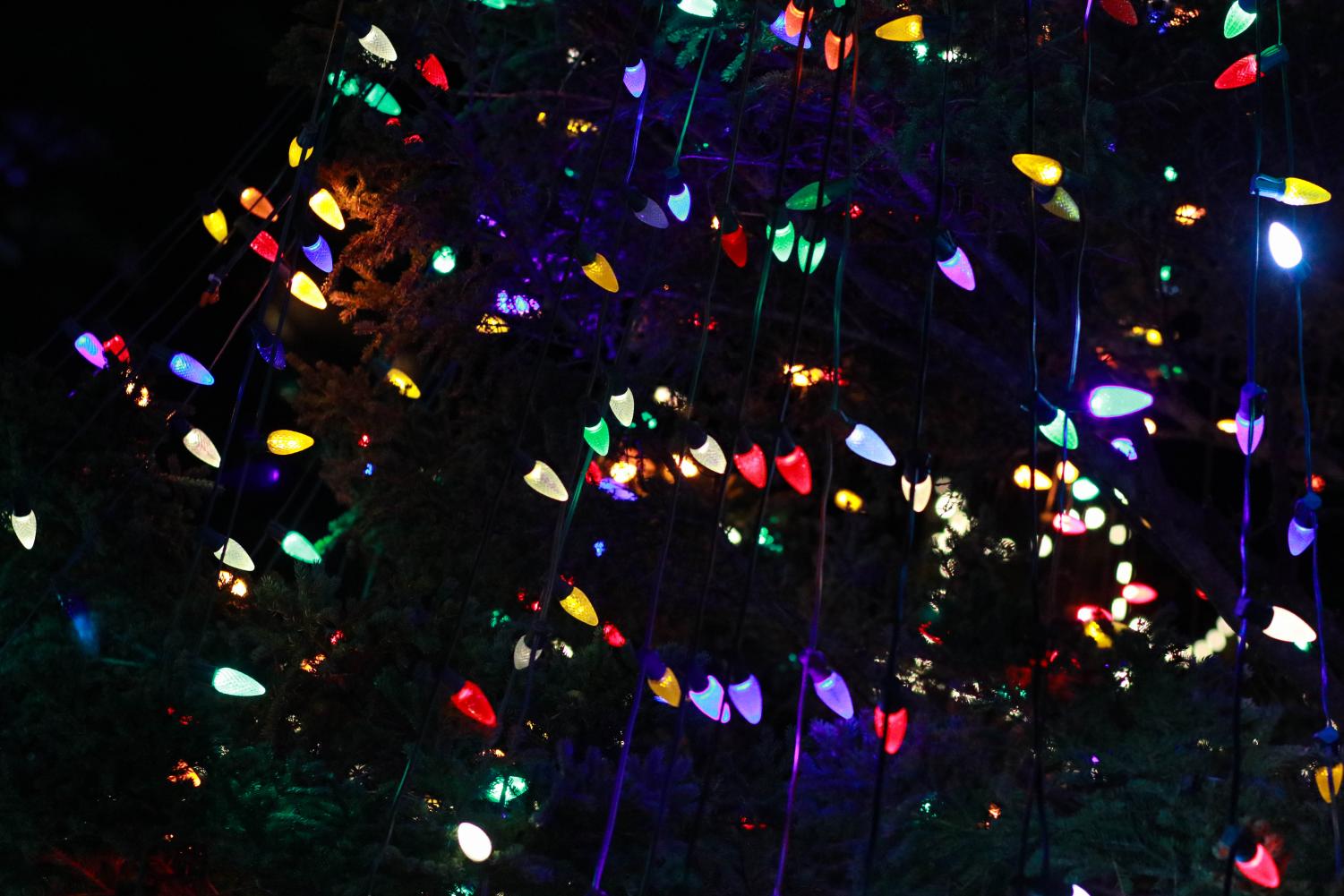 Photos%3A+Boston+lights+up+Nova+Scotia+Christmas+Tree+in+Common