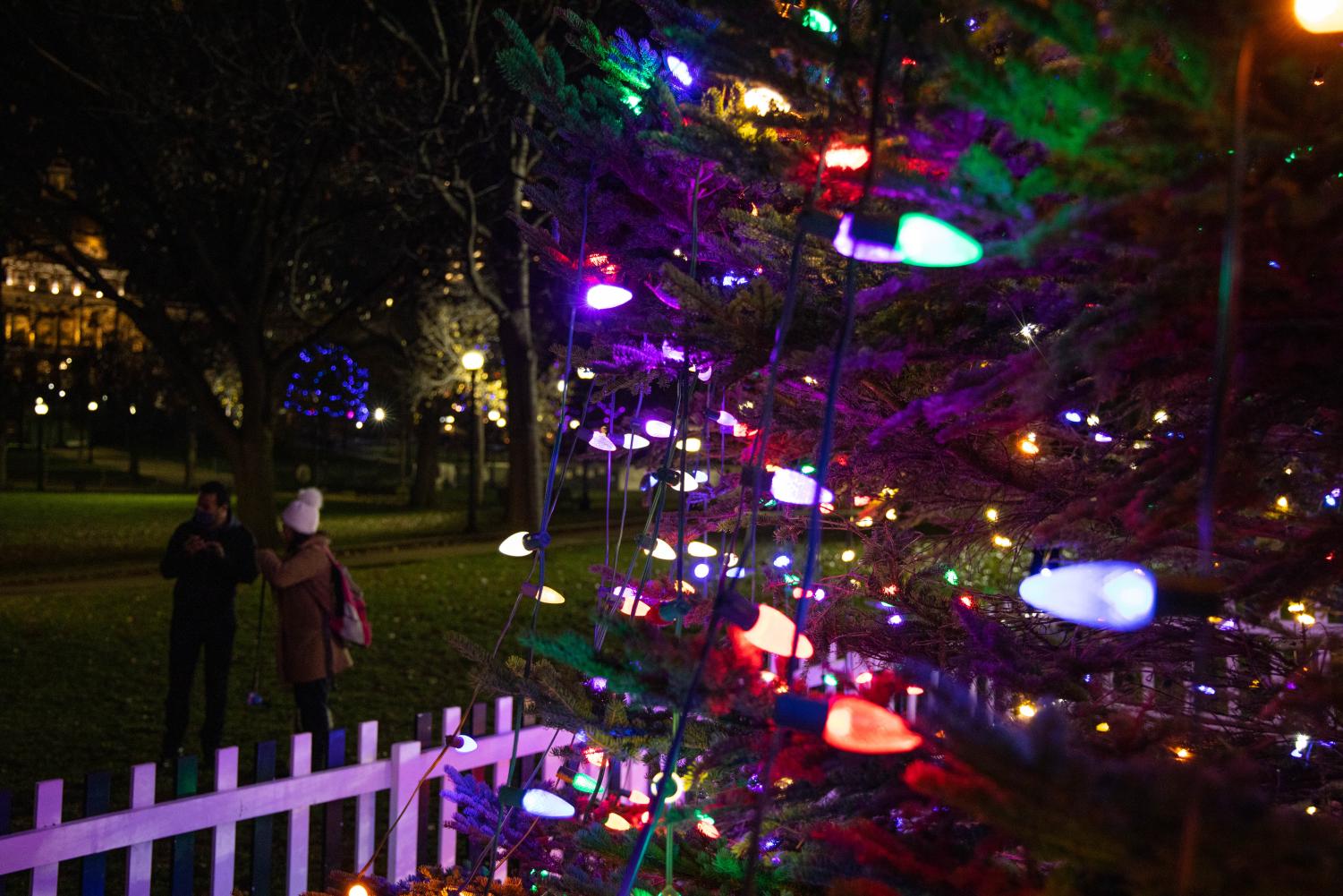 Photos%3A+Boston+lights+up+Nova+Scotia+Christmas+Tree+in+Common