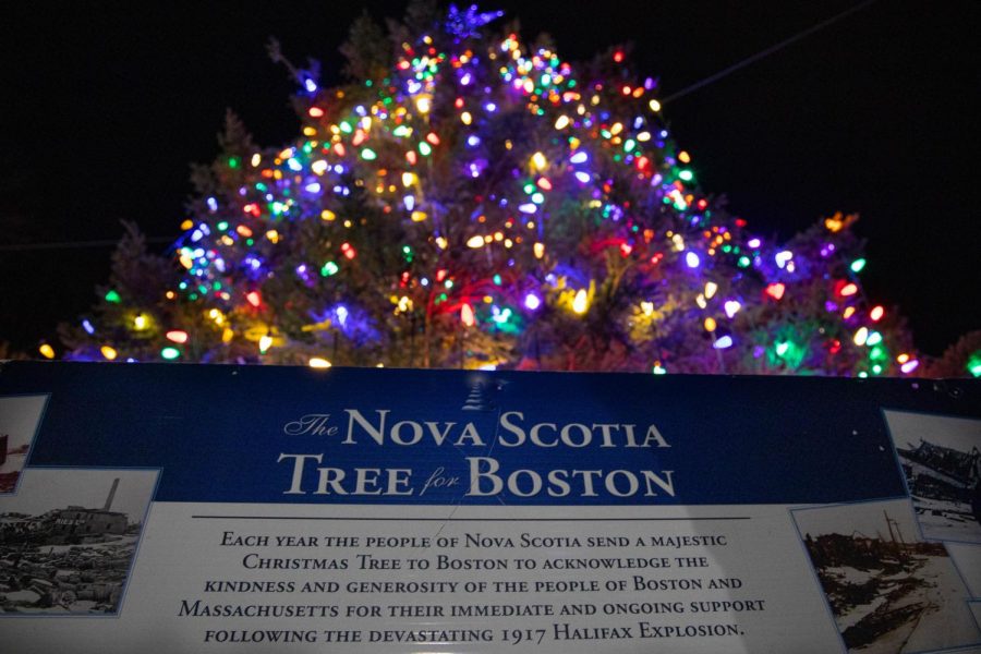 The Nova Scotia Tree for Boston lit up just under two weeks after arriving in the Common. 