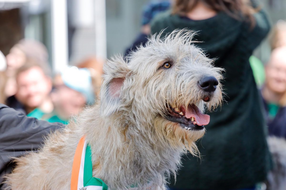 2024 Boston St. Patrick’s Day