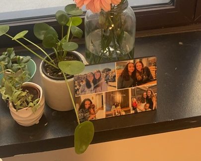 Why college students should buy plants