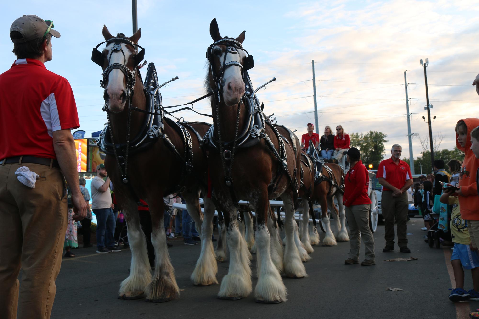 On a chilly day in early fall, hundreds of thousands of people gathered in West Springfield to witness one of New England's biggest events of the year: The Big E.