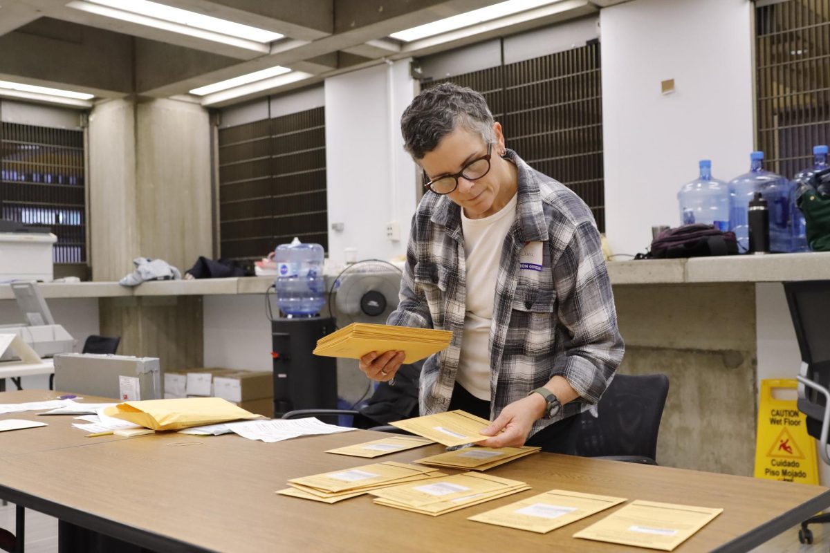 Boston resident Jana Krause categorizes election ballots at Boston City Hall on Tuesday, Nov. 5. (Arthur Mansavage/ Beacon Staff)