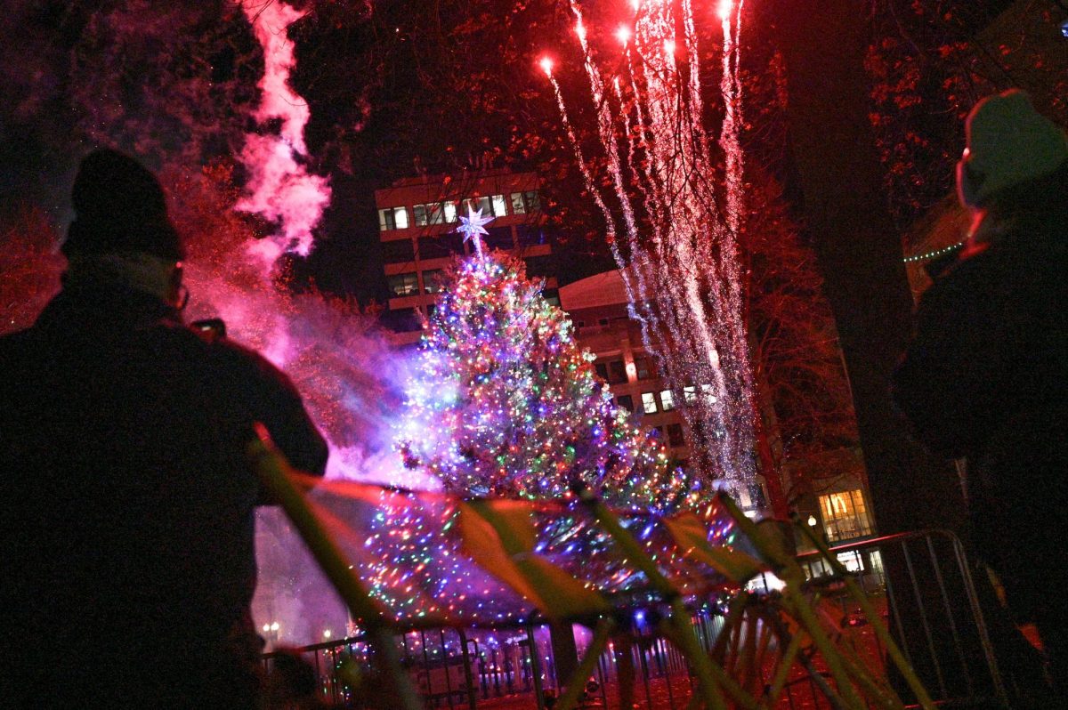 A 45-foot-tall white spruce in Boston Common is lit up with a fireworks display at the culmination of the annual Holiday Lights display on Dec. 5, 2024 (Bryan Hecht / Beacon Staff).