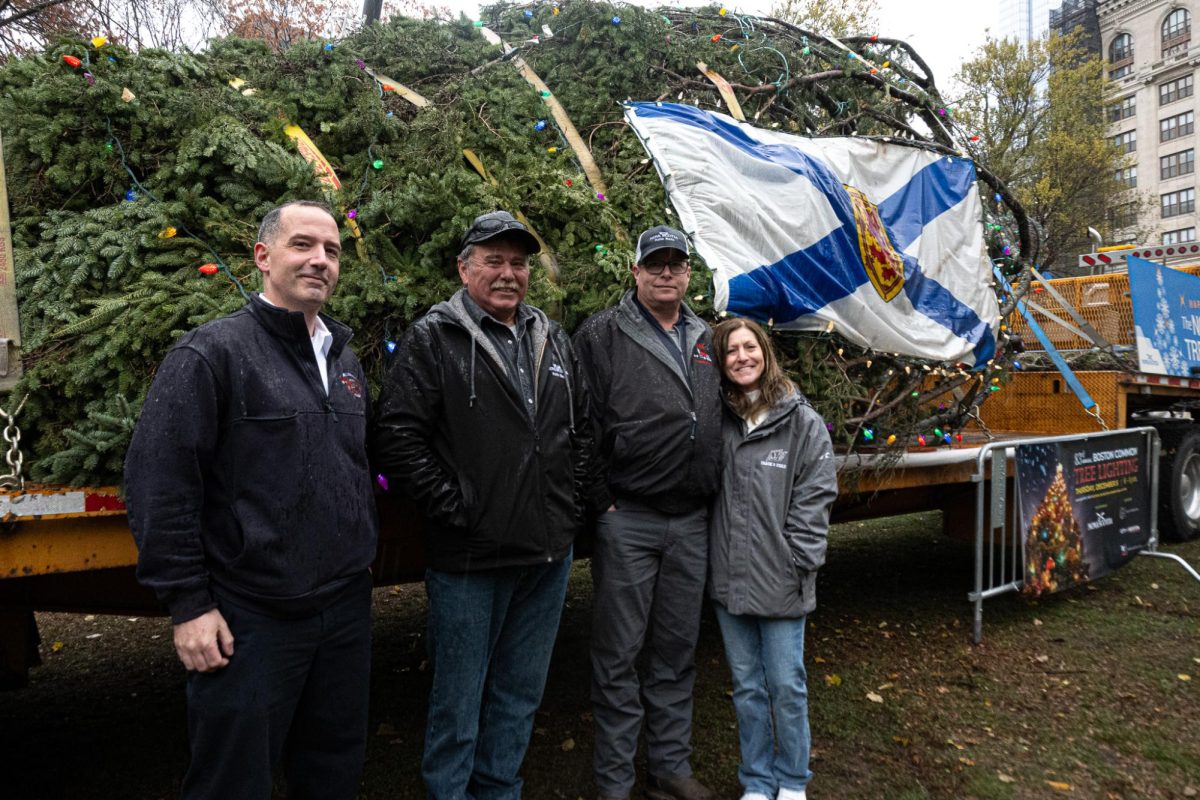 People pose for a group photo with the tree in the Boston Commons on Tuesday, Nov. 26, 2024. (Nick Peace/ Beacon Staff)