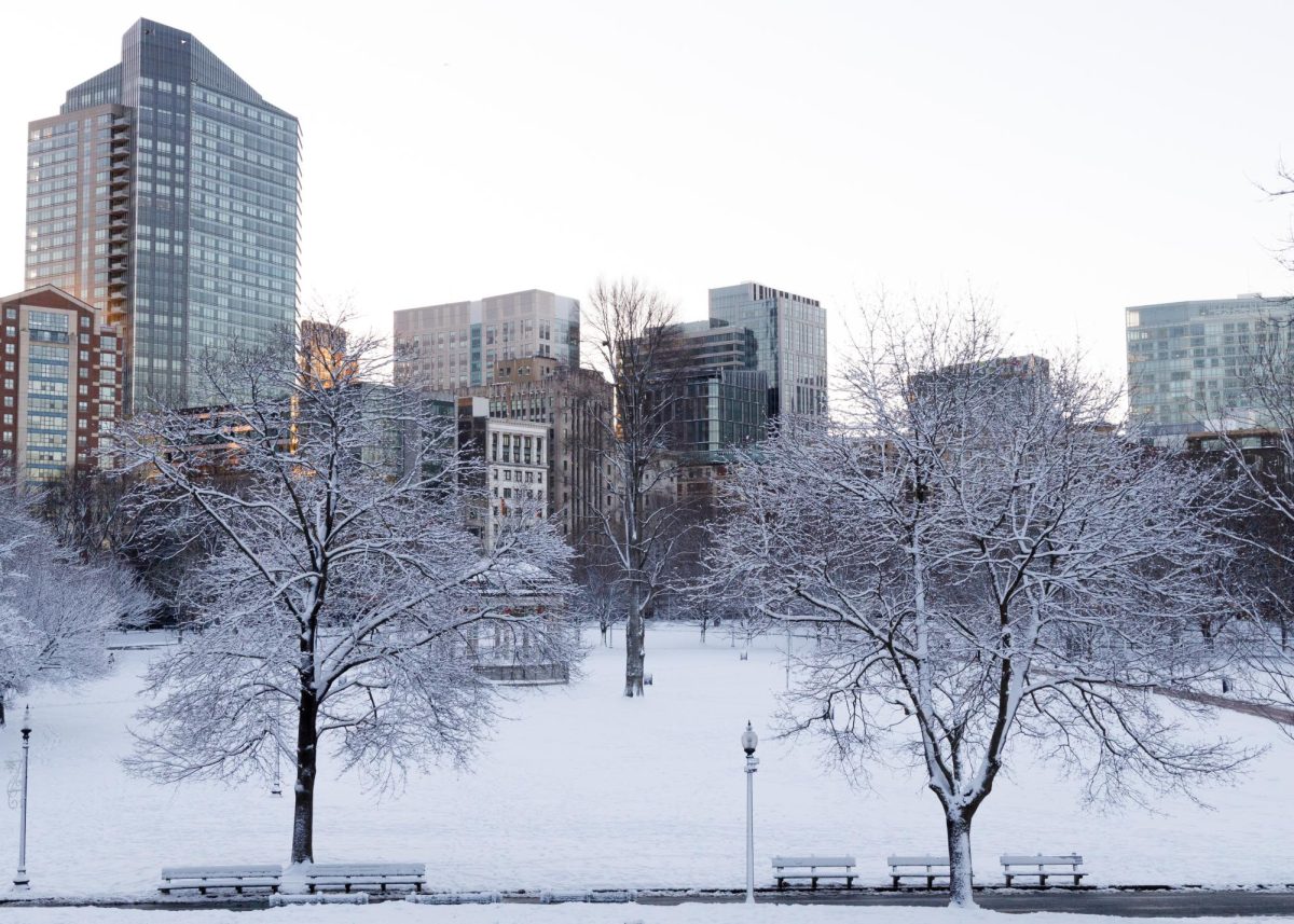 Snow dusts Boston Common early Monday morning. (Madla Walsh/ Beacon Staff)