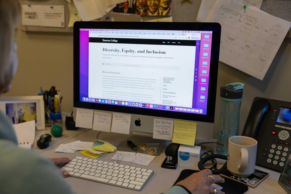 Lu Ann Reeb looks at Emerson's Diversity, Equity, and Inclusion web page. (Rian Nelson/ Beacon Staff)