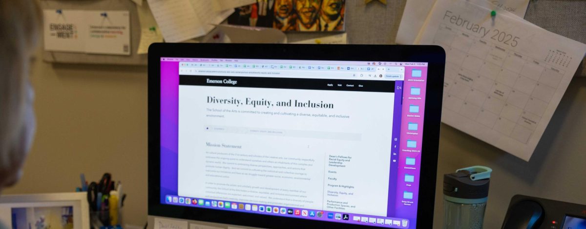 Lu Ann Reeb looks at Emerson's Diversity, Equity, and Inclusion web page. (Rian Nelson/ Beacon Staff)