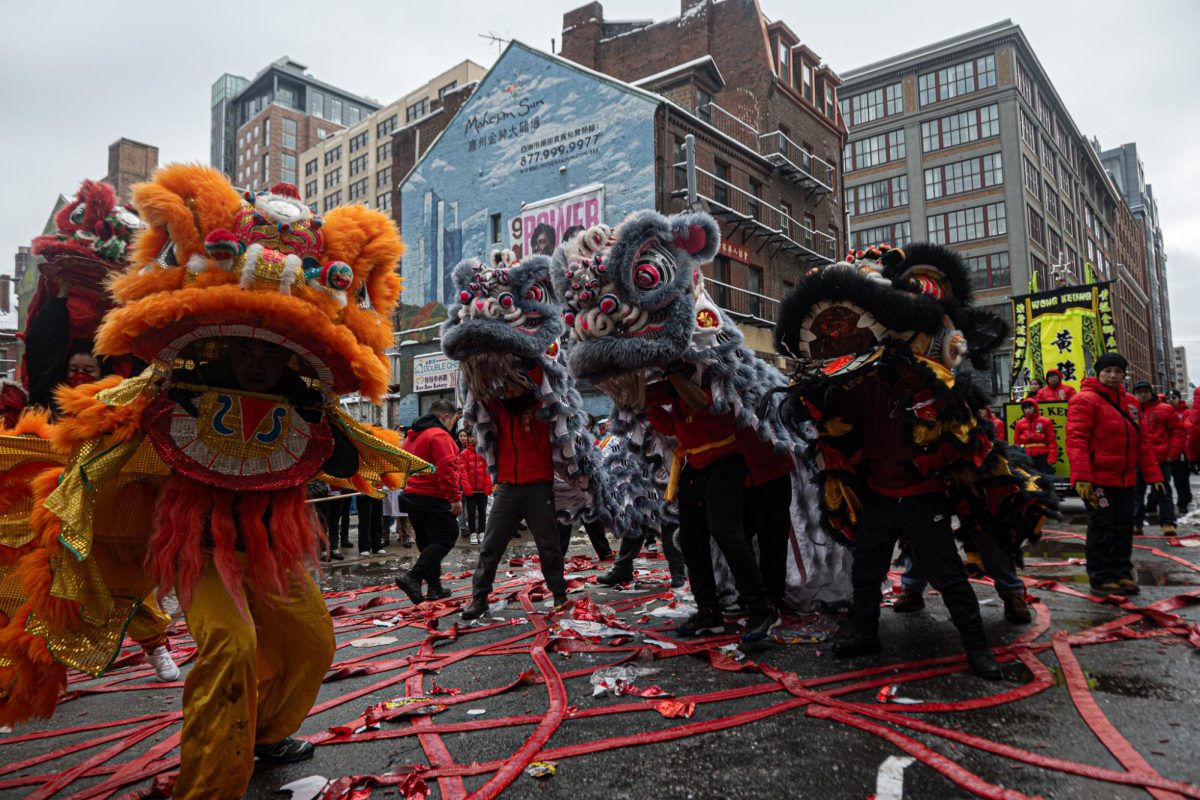 Lion dancers perform at lunar new year parade. (Nick Peace/Beacon Staff)