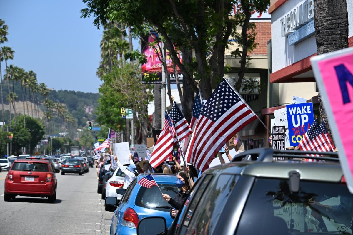 Protesters holdings American flags in Los Angeles during the 'No Kings Day' protest on June 14, 2025 (Riley Goldman / Beacon Staff)