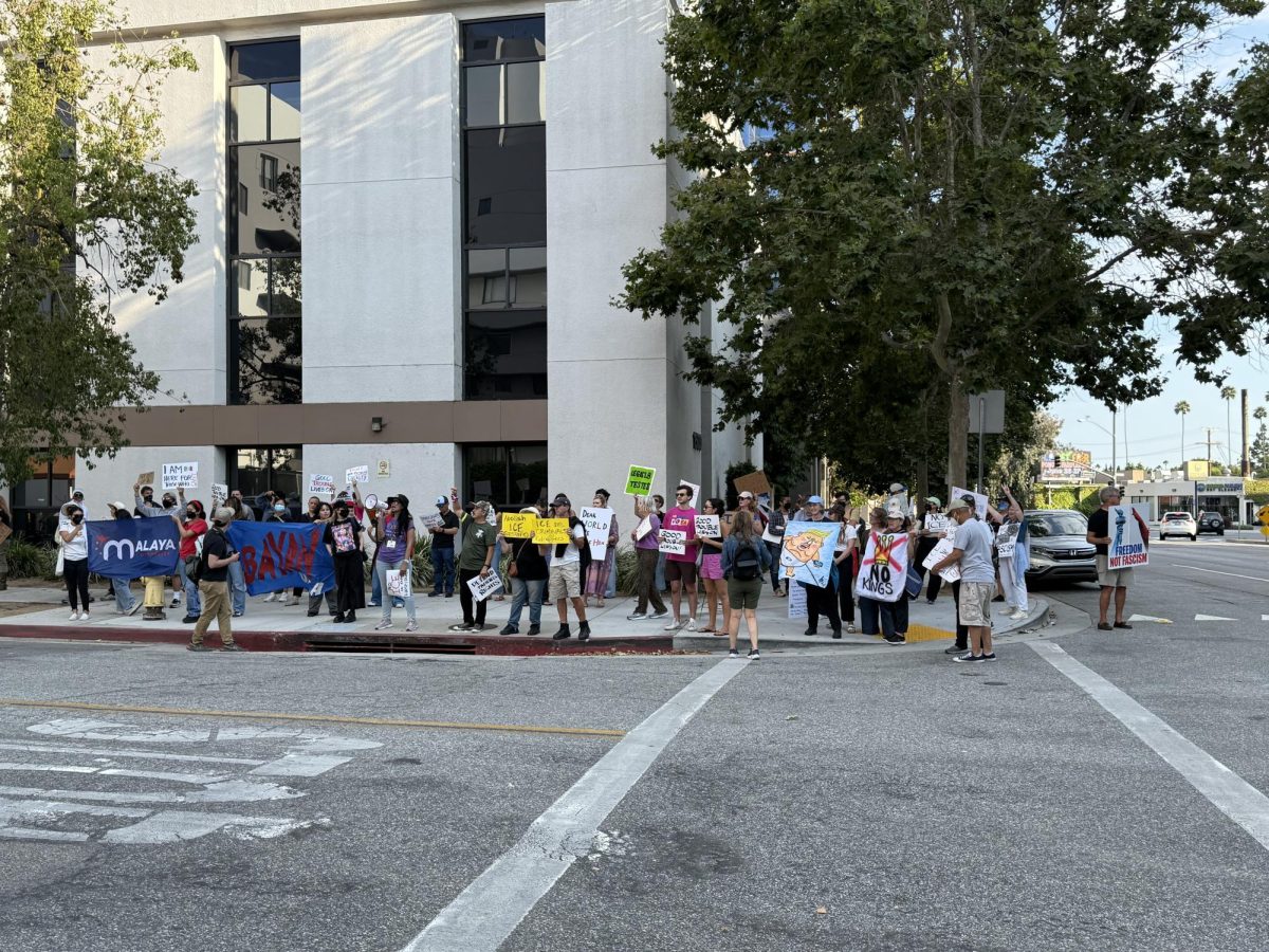 Protesters rally in support of hospitalized woman detained by ICE