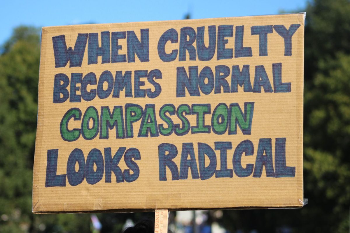 A sign reading “When Cruelty Becomes Normal Compassion Looks Radical,” at the No Kings Protest on Boston Common, Oct. 18, 2025. (DJ Mara/Beacon Staff)