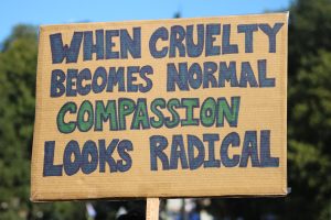 A sign reading “When Cruelty Becomes Normal Compassion Looks Radical,” at the No Kings Protest on Boston Common, Oct. 18, 2025. (DJ Mara/Beacon Staff)