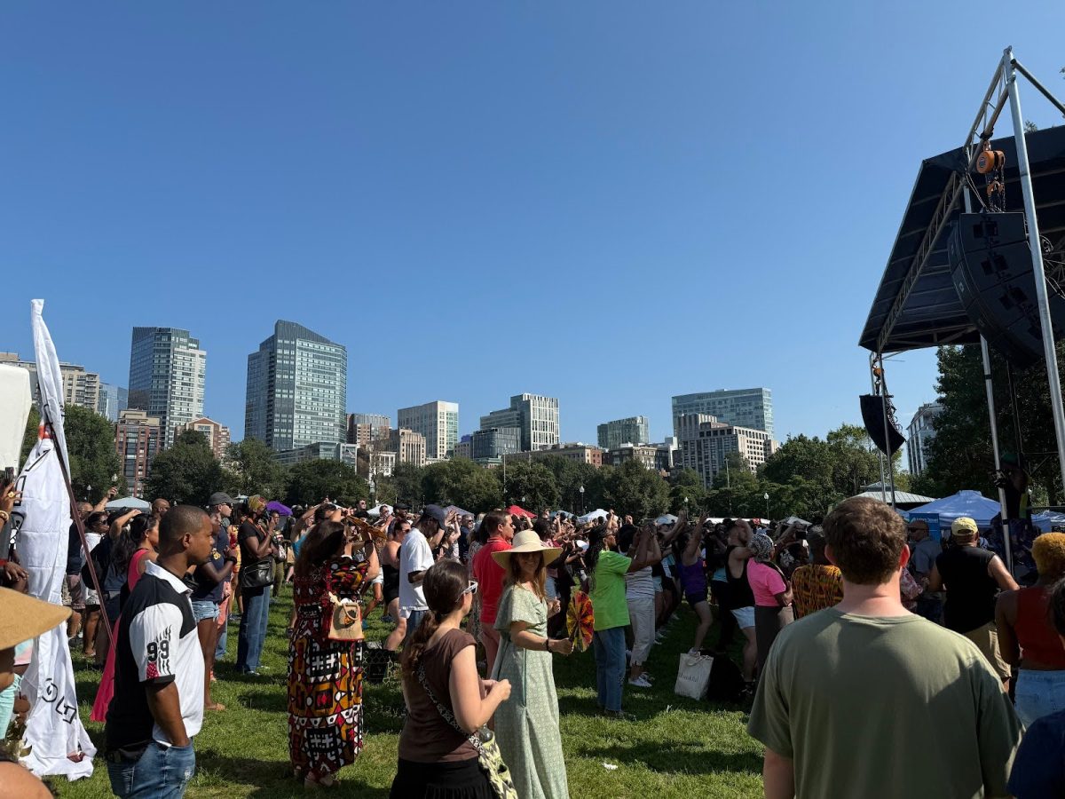 African cultures on display at Boston Common