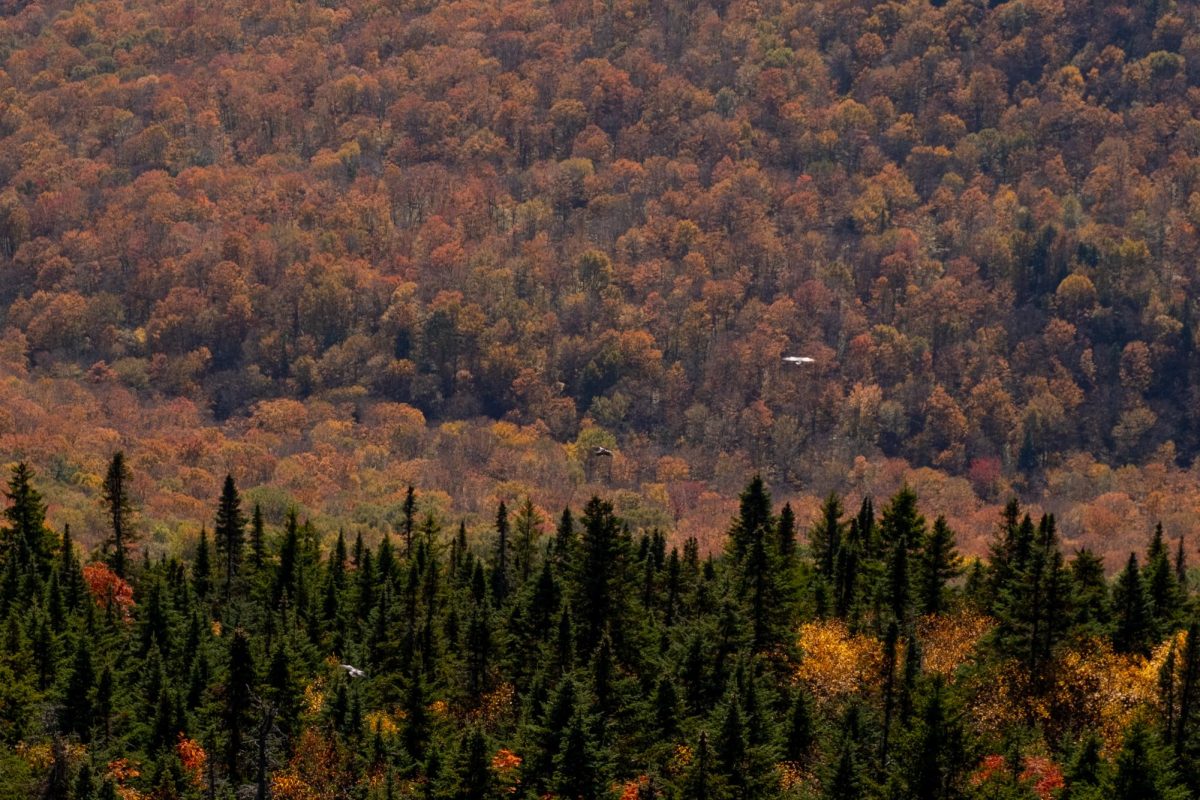 Vermont Fall Foliage. (Kai Etringer/ For The Beacon)