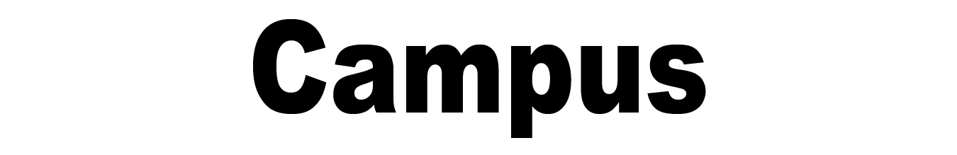 Related Image