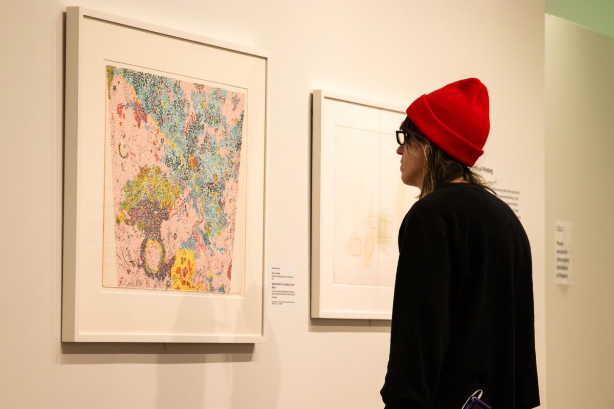 A viewer pauses to take in Nancy Graves's "Montes Apenninus Region of the Moon."
