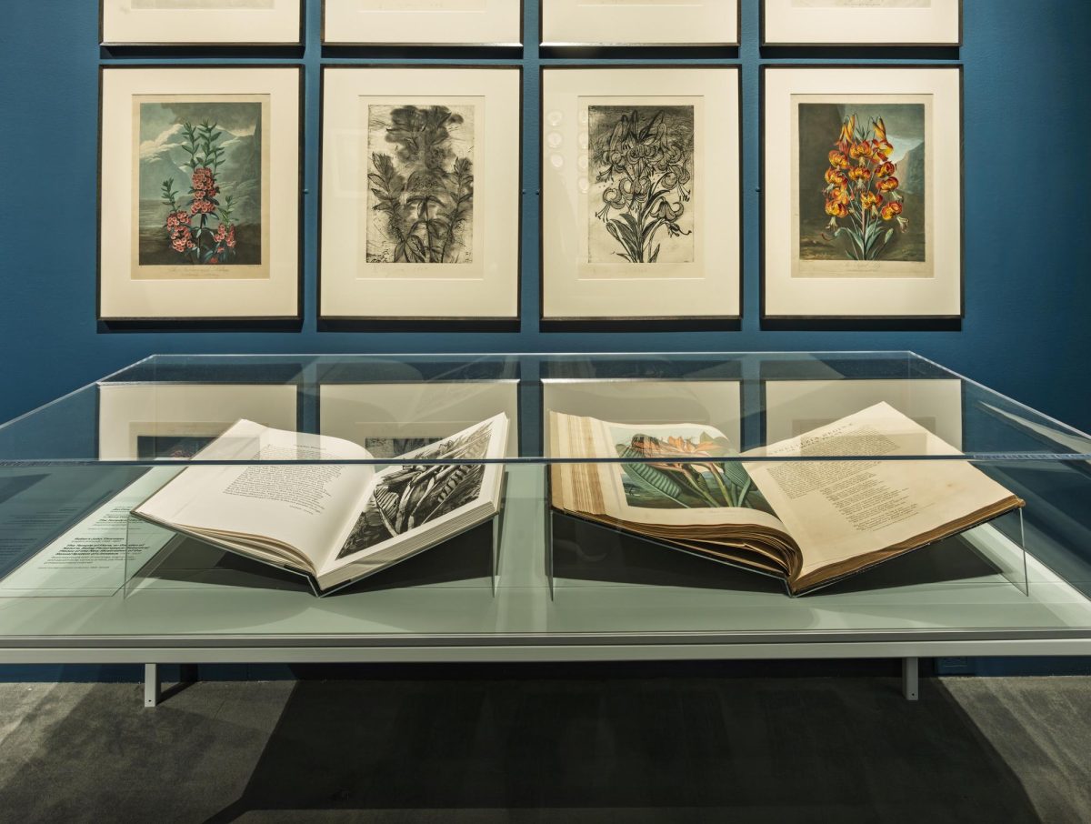 Courtesy Museum of Fine Arts